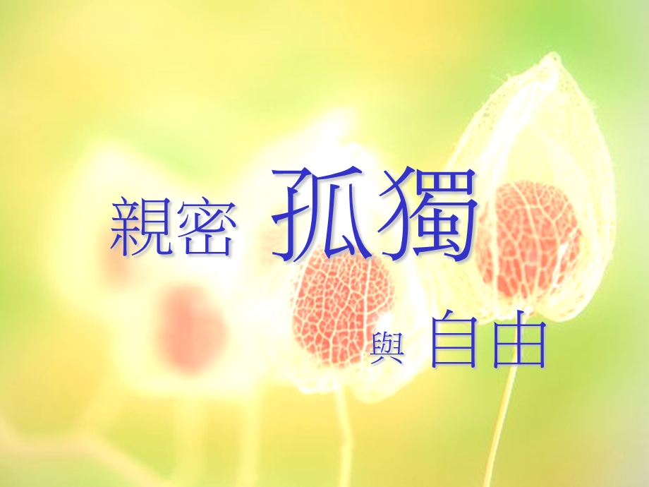 亲密孤独与自由.ppt_第1页