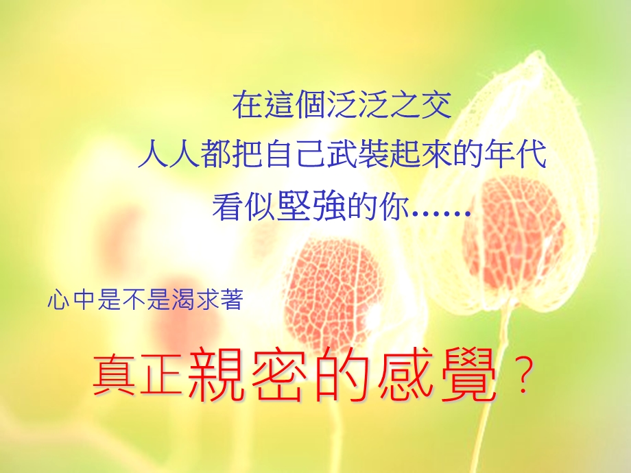 亲密孤独与自由.ppt_第2页