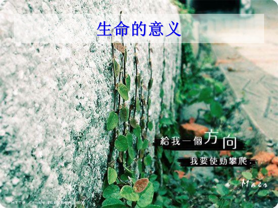 奋斗与梦想主题班会.ppt_第2页