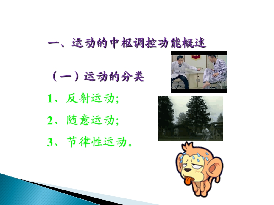 神经系统运动机能0503.ppt_第2页