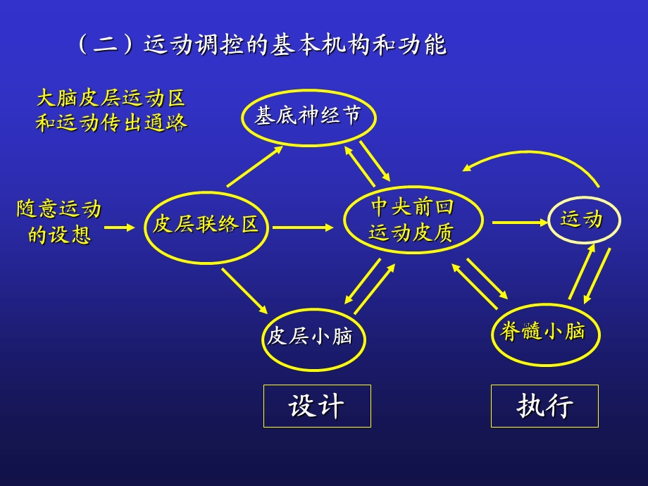 神经系统运动机能0503.ppt_第3页