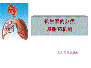 抗生素的分类及耐药机制.ppt