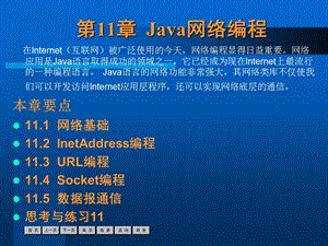 java语言程序设计第11章.ppt