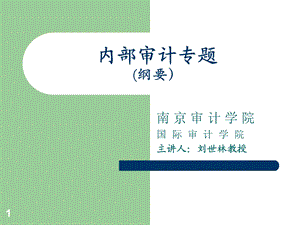 内部审计专题纲要.ppt