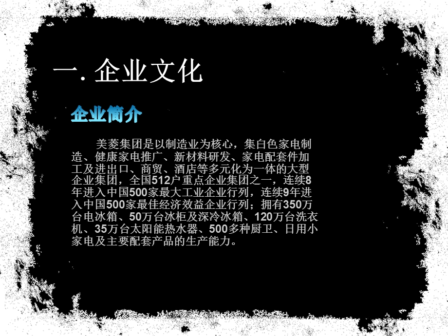 美菱冰箱广告策划案.ppt_第3页