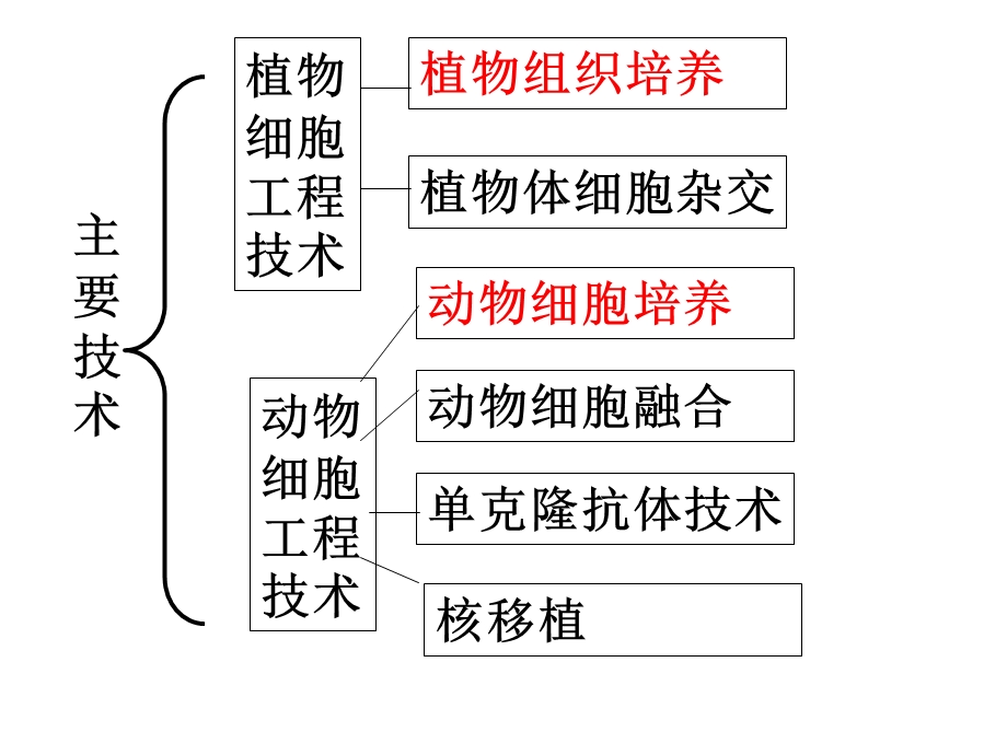 细胞工程(一轮复习)ppt.ppt_第3页