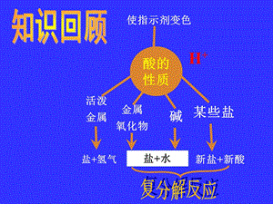 氢氧化钠的性质.ppt