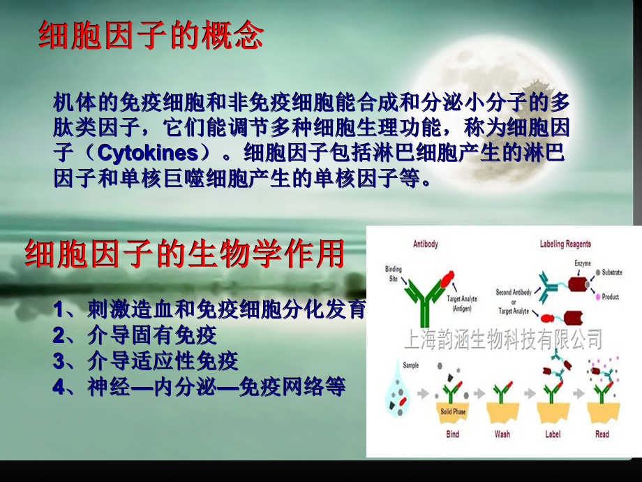 粒细胞集落刺激因子.ppt_第2页