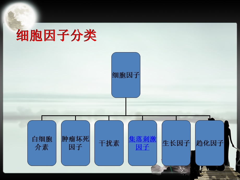 粒细胞集落刺激因子.ppt_第3页