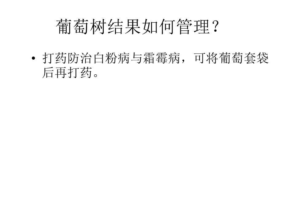 葡萄开始结果时的管理技巧.ppt_第3页