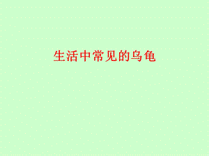 生活中常见的乌龟.ppt