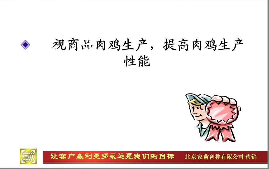 肉鸡的饲养管理要点.ppt_第3页