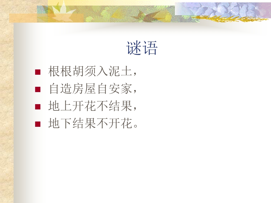 落花生课件之三.ppt_第1页