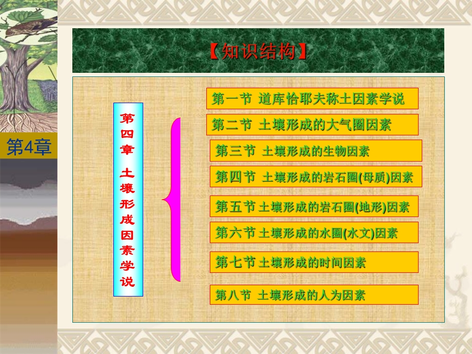 土壤形成因素学说.ppt_第2页