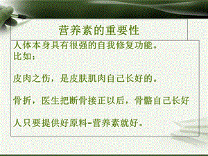 营养素的重要性.ppt