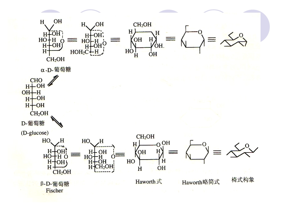 天然药物化学第二章糖和苷类.ppt_第3页