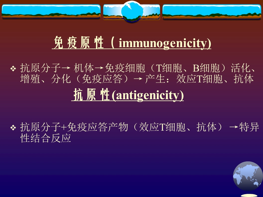 抗原与抗原提呈.ppt_第3页