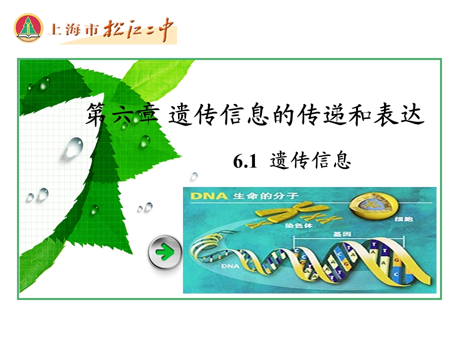 生命科学第六章第一节(第2学时).ppt_第1页