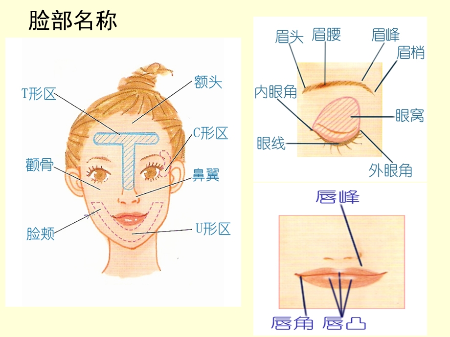 酒店女员工化妆知识培训.ppt_第2页