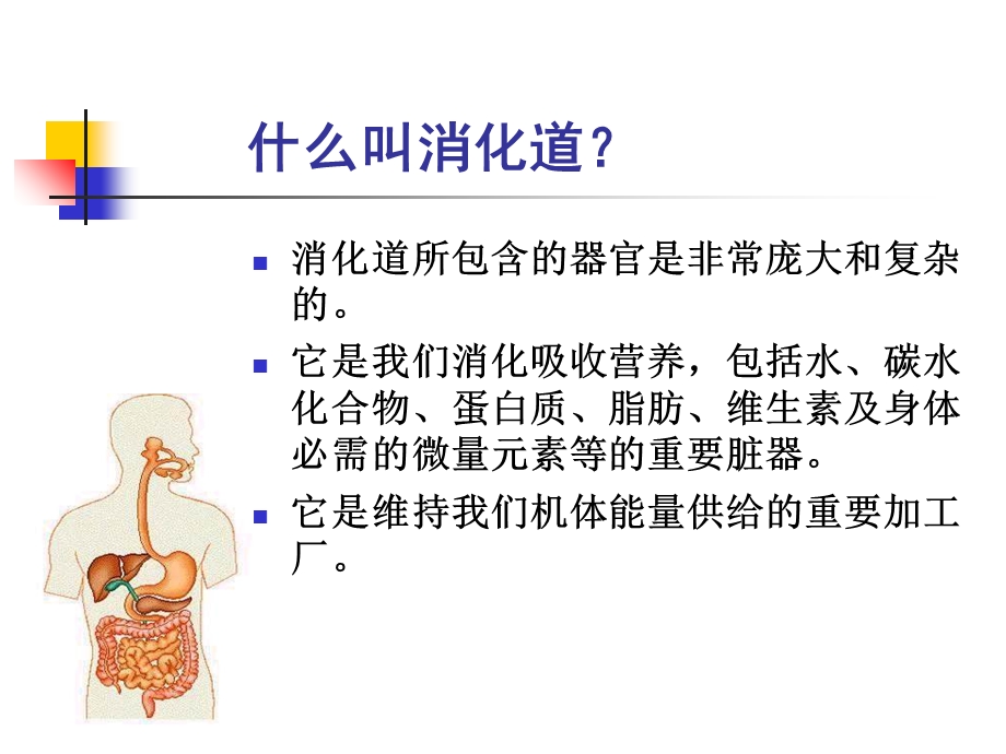 胃肠健康谁做主.ppt_第2页