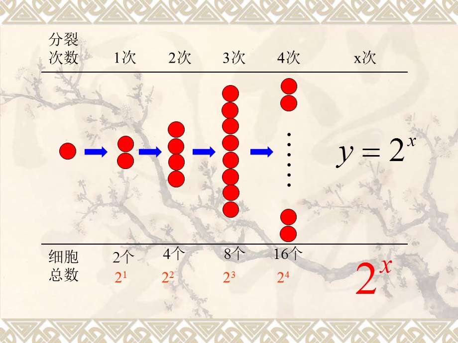 指数函数图像与性质.ppt_第3页