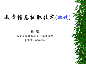 孙斌北京大学计算机系计算语言所iclpkueducn.ppt