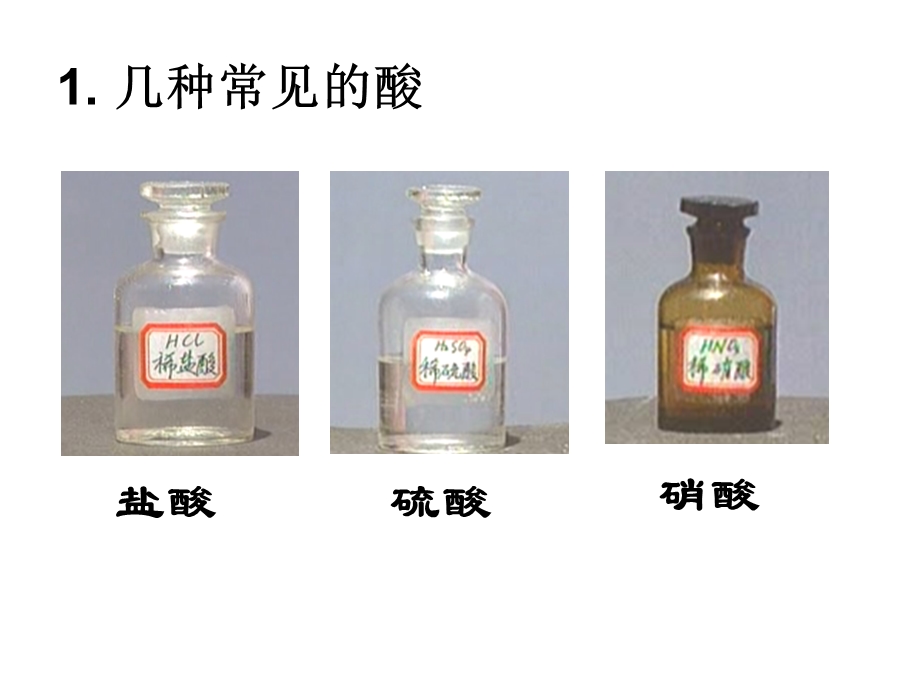 生活中常见的酸和碱.ppt_第1页