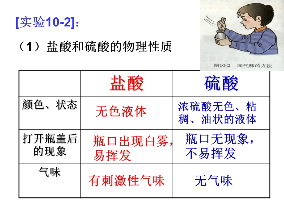 生活中常见的酸和碱.ppt_第2页