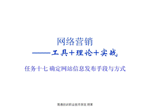 确定网站信息发布手段与方式.ppt