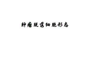 肿瘤细胞形态-实验.ppt