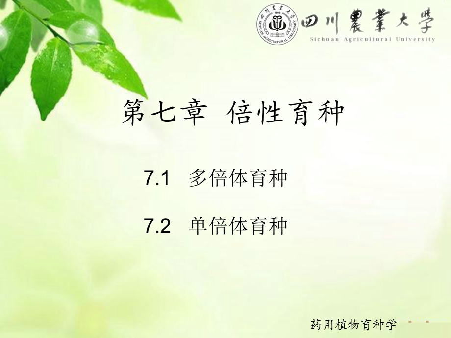 药用植物倍性育种.ppt_第1页