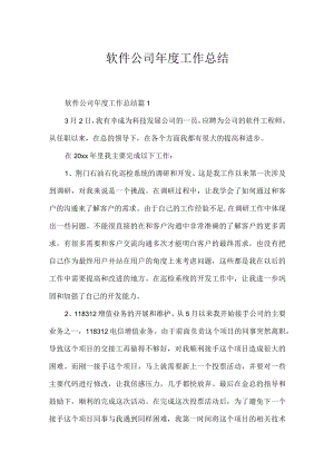 软件公司年度工作总结.docx