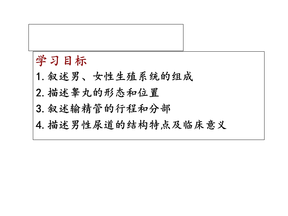 系统解剖学第6章生殖系统男性生殖系统.ppt_第2页