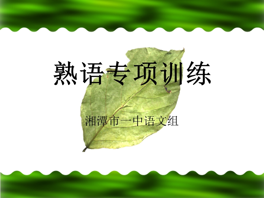 熟语专项训练.ppt_第1页