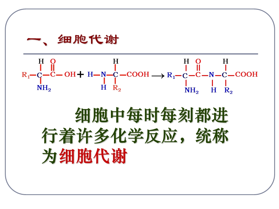 我饿！我要吃吃吃.ppt_第3页