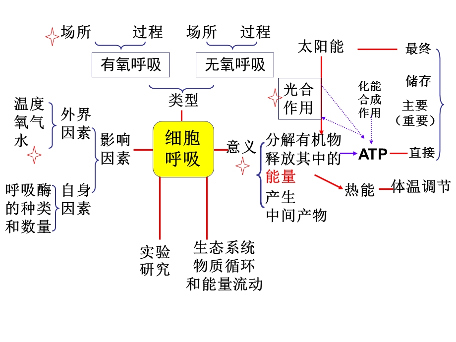 人教版教学课件细胞呼吸复习课件.ppt_第2页