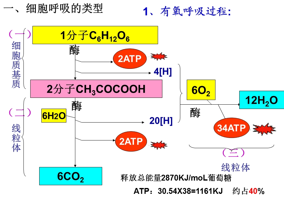 人教版教学课件细胞呼吸复习课件.ppt_第3页