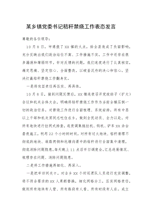 某乡镇党委书记秸秆禁烧工作表态发言.docx