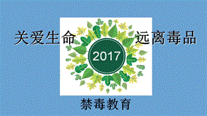 小学生禁毒安全教育.ppt