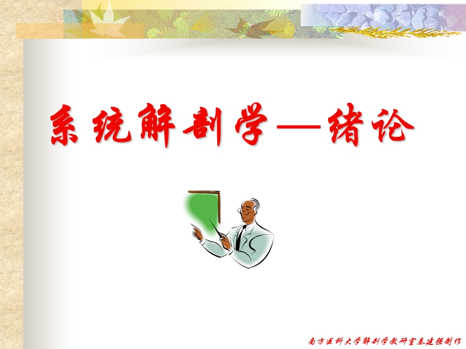 系统解剖之骨学.ppt_第1页