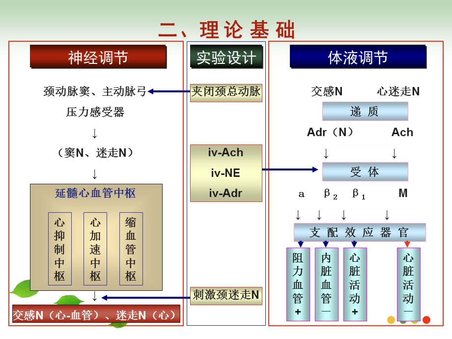 心血管功能左心衰.ppt_第3页