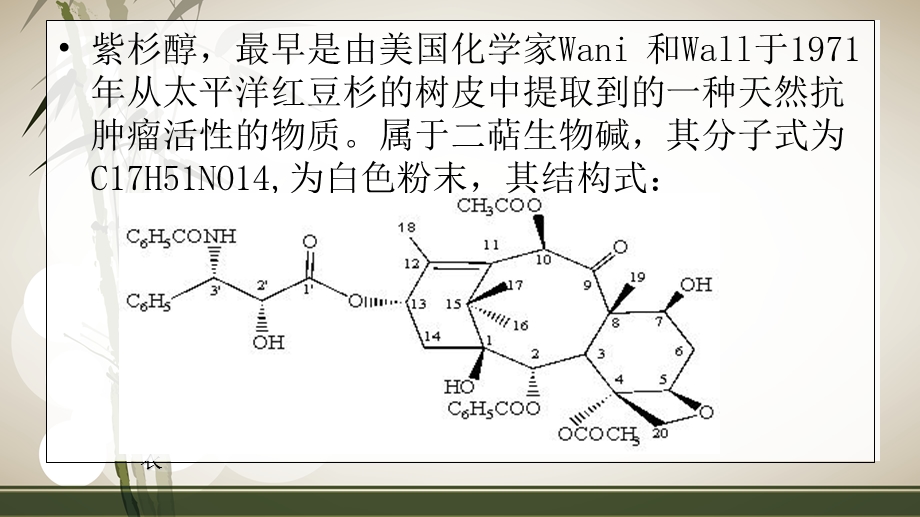 紫杉醇的生产工艺.ppt_第2页