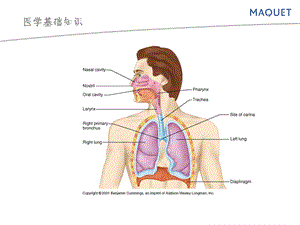 医学基础知识(二).ppt