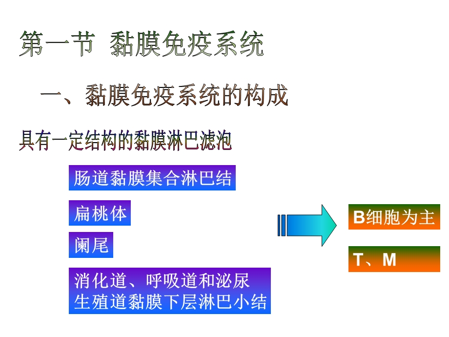 消化道黏膜免疫.ppt_第2页