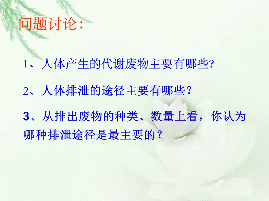 泌尿系统的组成.ppt_第2页