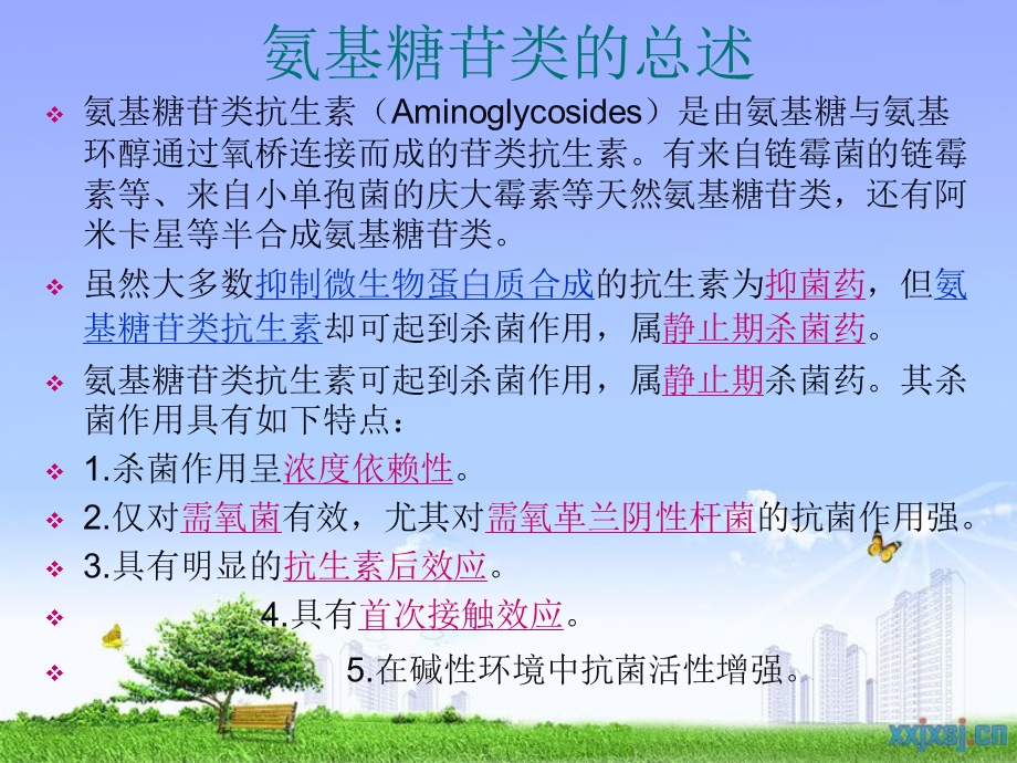 庆大霉素的生产工艺.ppt_第3页