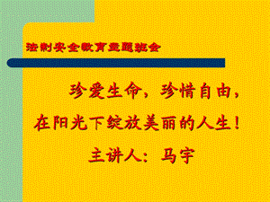 小学安全法制教育.ppt