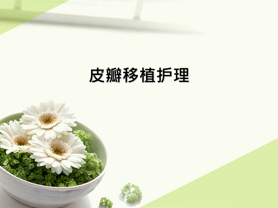 皮瓣移植护理查房.ppt_第1页