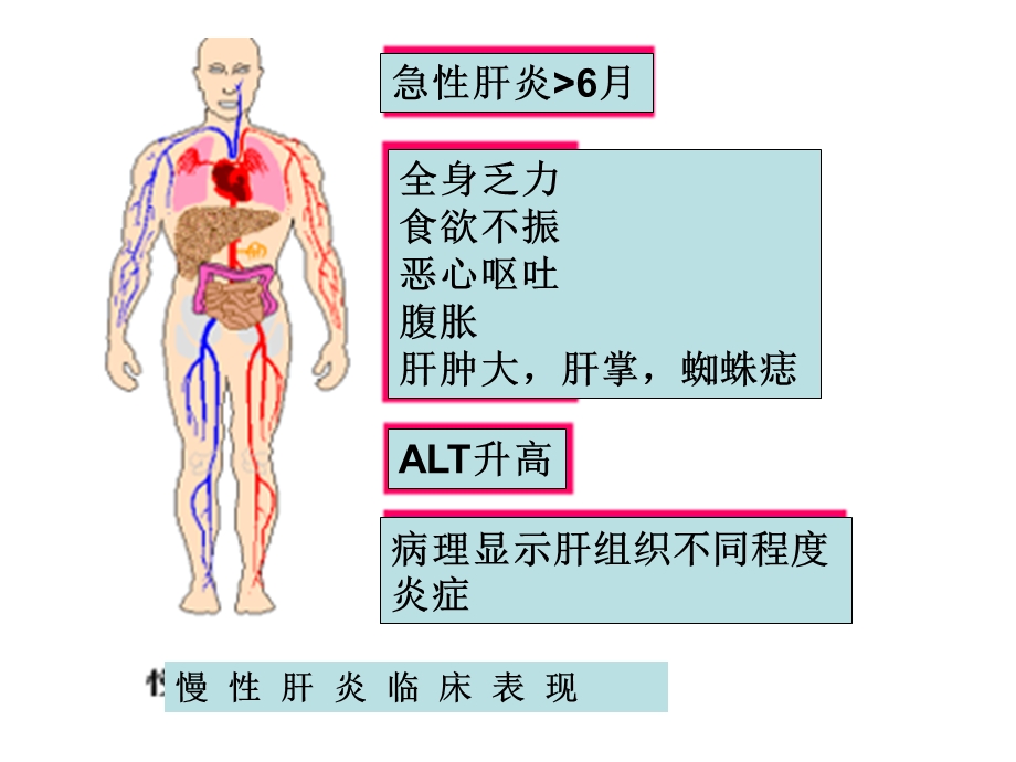 慢性肝炎临床表现.ppt_第1页