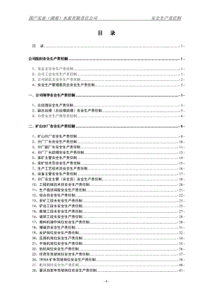 安全生产责任制制度规范工作范文实用文档.doc